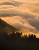 Bergliebe Kleinwalsertal (Bildband)
