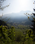 Bergliebe Kleinwalsertal (Bildband)