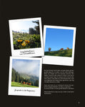 Bergliebe Kleinwalsertal (Bildband)