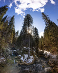 Bergliebe Kleinwalsertal (Bildband)