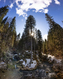 Bergliebe Kleinwalsertal (Bildband)