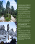 Bergliebe Kleinwalsertal (Bildband)