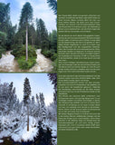 Bergliebe Kleinwalsertal (Bildband)