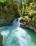 Bergliebe Kleinwalsertal (Bildband)