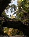 Bergliebe Kleinwalsertal (Bildband)