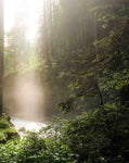 Bergliebe Kleinwalsertal (Bildband)