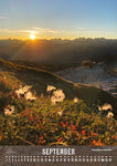 September. Sonnenaufgang am Hahnenköpfle. Ifen-Bergstation im Hintergrund. Wilde Männle (Pflanze) im Vordergrund.