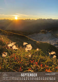 September. Sonnenaufgang am Hahnenköpfle. Ifen-Bergstation im Hintergrund. Wilde Männle (Pflanze) im Vordergrund.