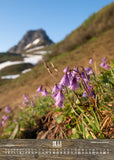 Kleinwalsertal-Kalender 2027 im A4-Format