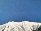 Detail Leinwandbild, Sternenhimmel im Winter