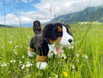 Berner Sennenhund Kuscheltier (Hersteller: Teddy Hermann) im Blumenwiese