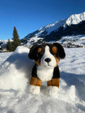 Kuscheltier Berner Sennenhund im Schnee. Hersteller: Teddy Hermann.